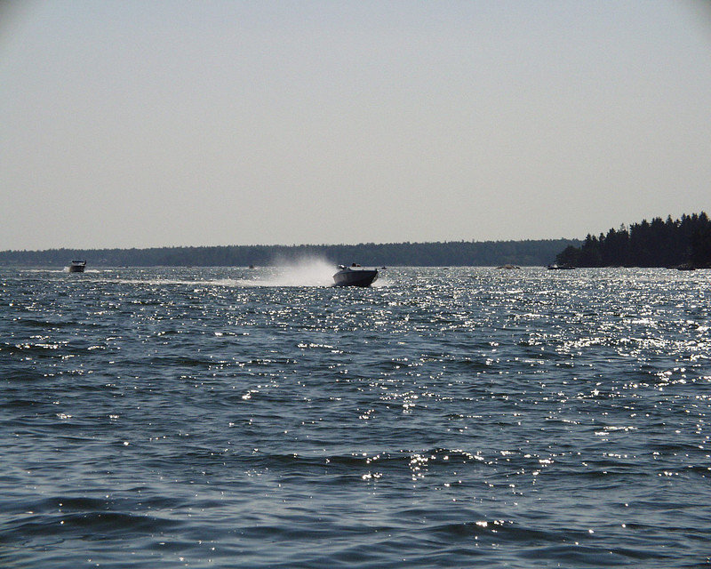 P8110069