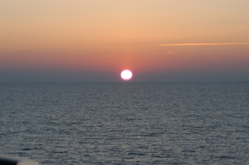 DSC 0208