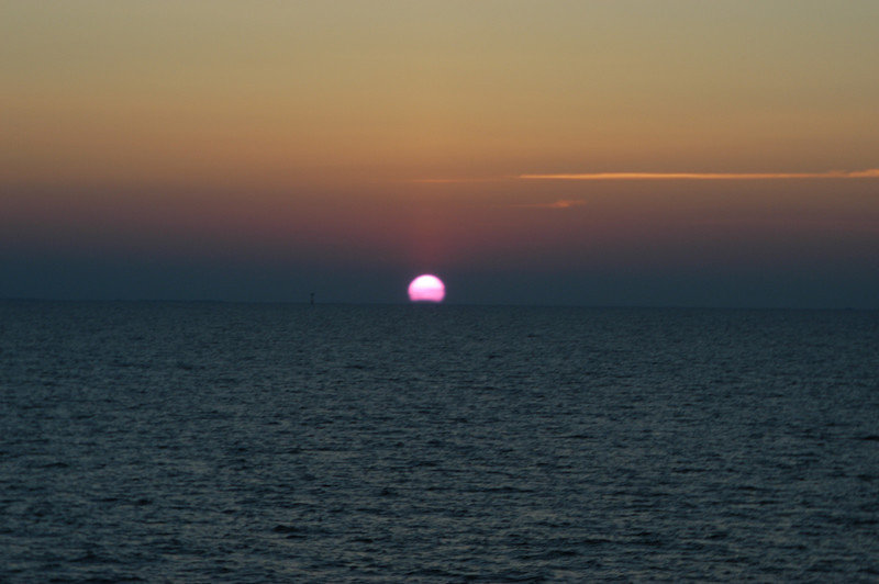 DSC 0220