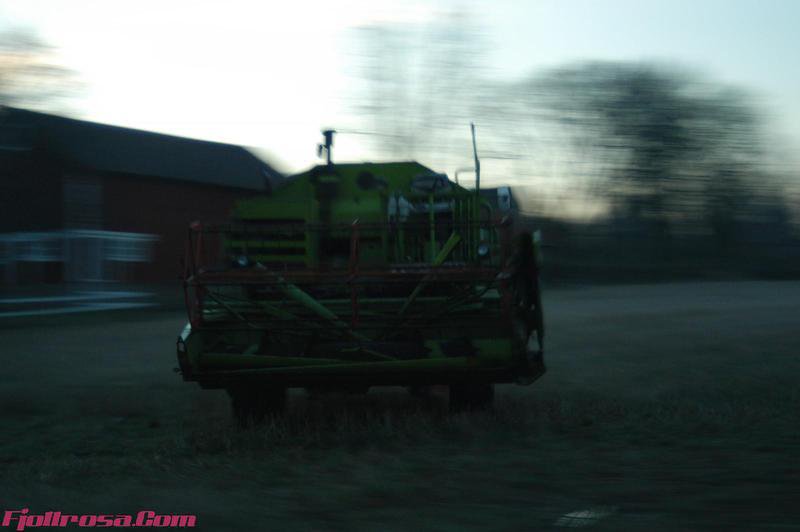 DSC 0038