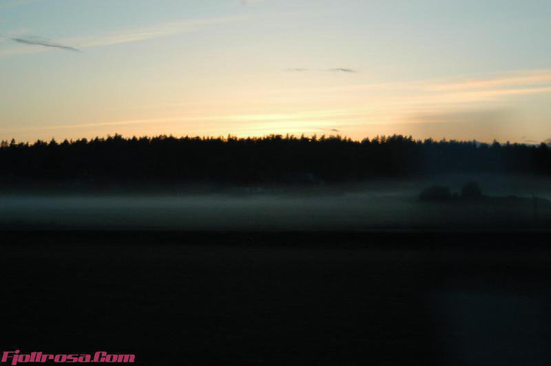 DSC 0050