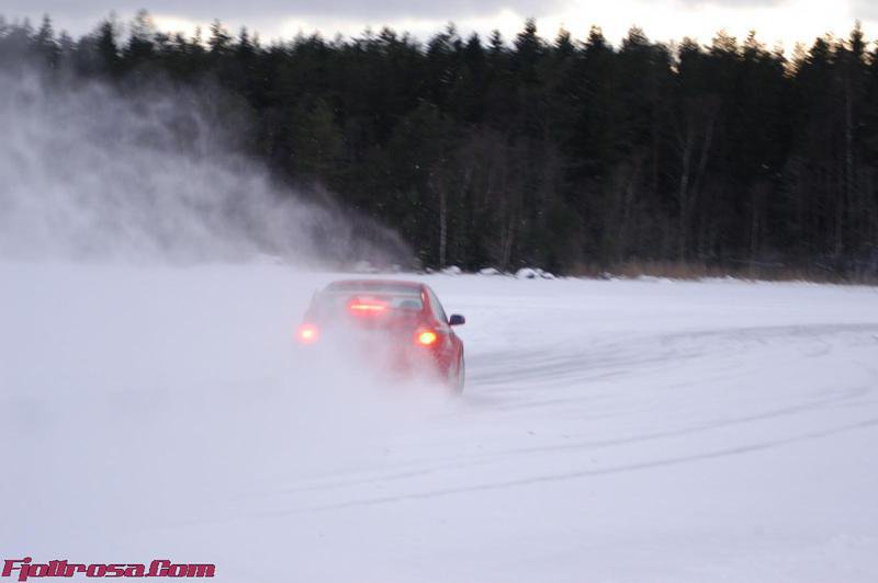 DSC_0345.jpg