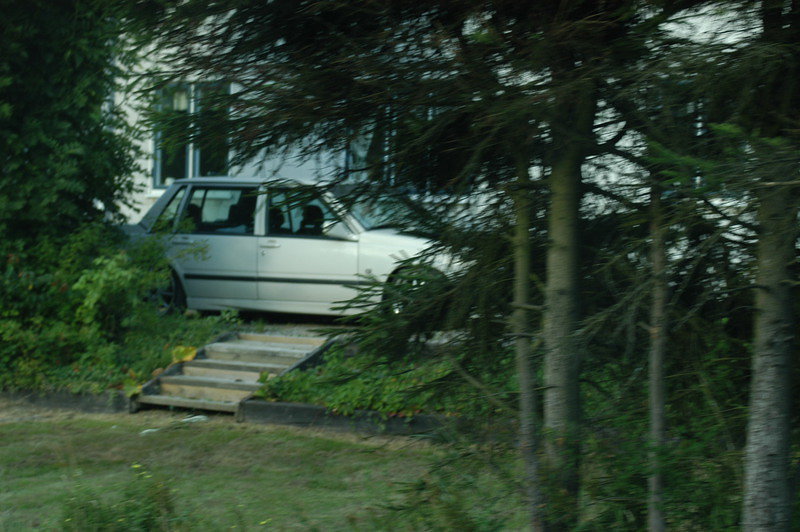 DSC 1918