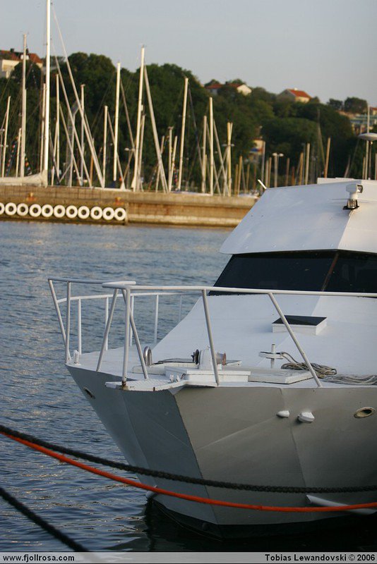  MG 5956