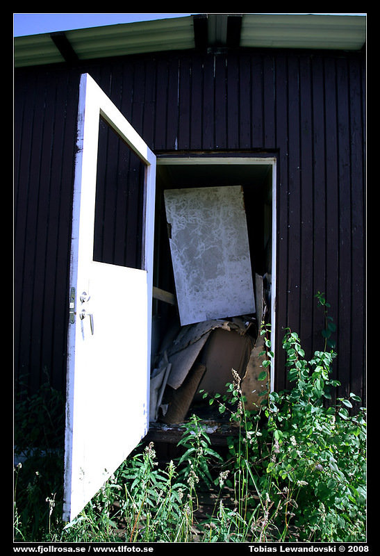 6L8D0959.jpg