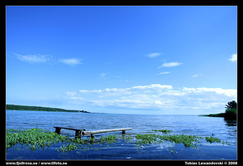 6L8D0970.jpg