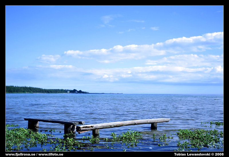6L8D0972.jpg