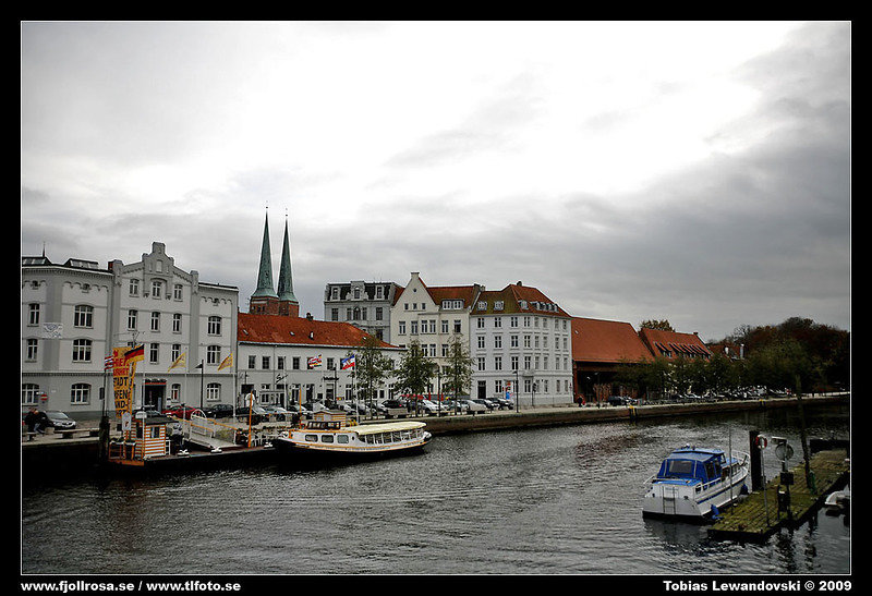 _MG_6807.jpg