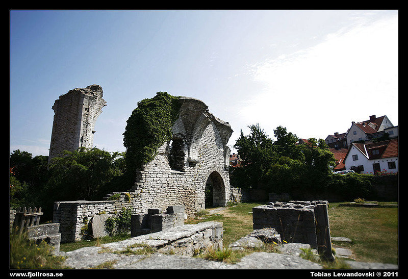 _MG_2982.jpg