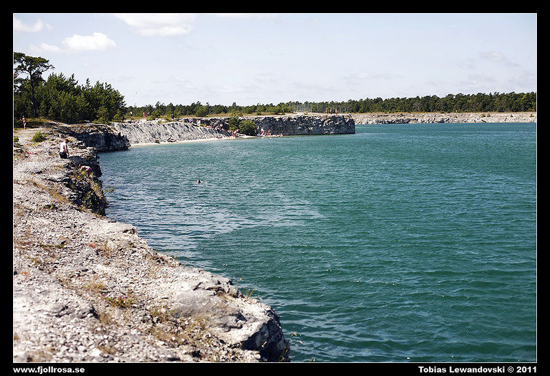 _MG_3460.jpg