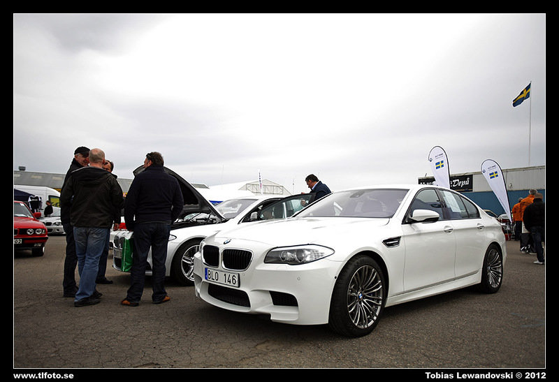 _MG_7650.jpg