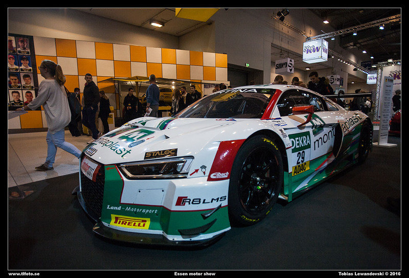  MG 8231