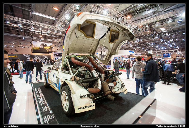  MG 8261