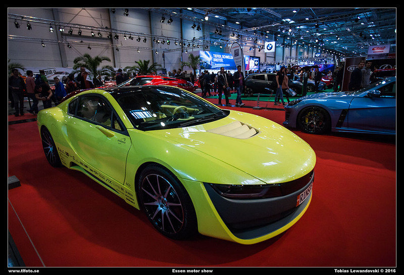  MG 8306