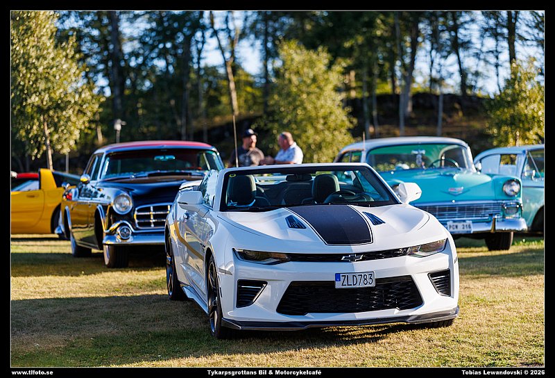 098A1291
