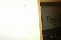 DSC_0457.jpg