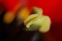 DSC 0006