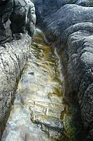 DSC 0306