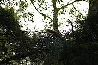 DSC 0020