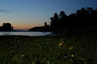 DSC 0090