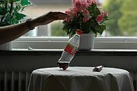 DSC 0080