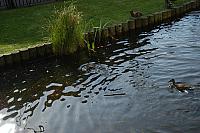 DSC 0490