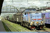 dsc 7197