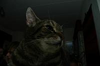 DSC 7685