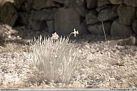 IMG 4265
