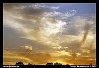_MG_8946.jpg