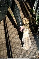 IMG_4495.JPG