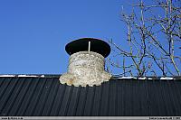 _MG_6206.JPG