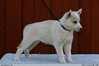 _MG_6232.JPG