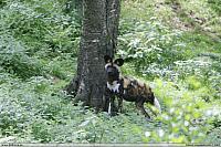 _MG_9381.JPG