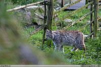 _MG_6727.JPG