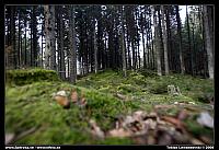 _L8D6906.JPG
