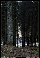 _L8D7068.JPG