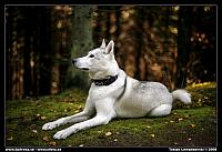 _MG_8724.JPG