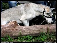 IMG_0965.jpg