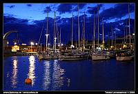 6L8D0881.jpg