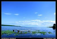6L8D0970.jpg