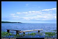 6L8D0972.jpg
