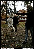 _MG_6291.jpg