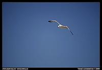 name-046.jpg
