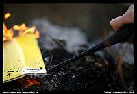 _MG_8195.jpg