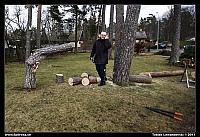 _MG_8415.jpg