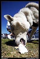 _MG_9865.JPG