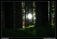 _L8D7078.jpg