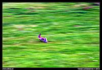 _L8D1456.jpg