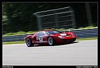 _L8D8118.jpg